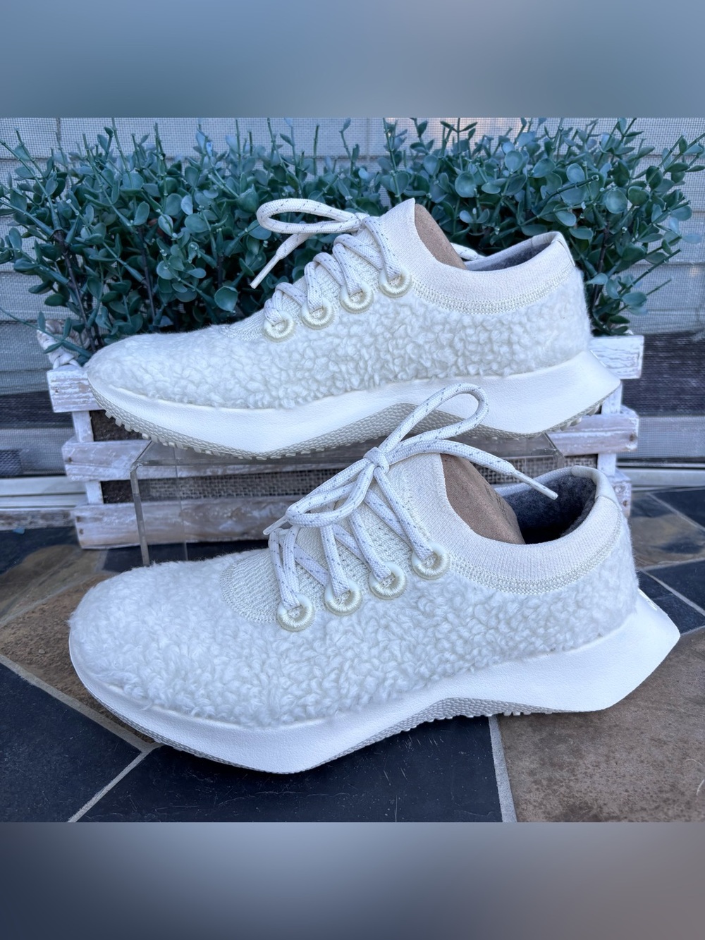 Allbirds Wool Dasher Fluff Sneakers